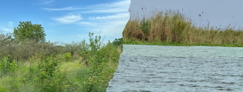 Biodiversity conservation: land and river