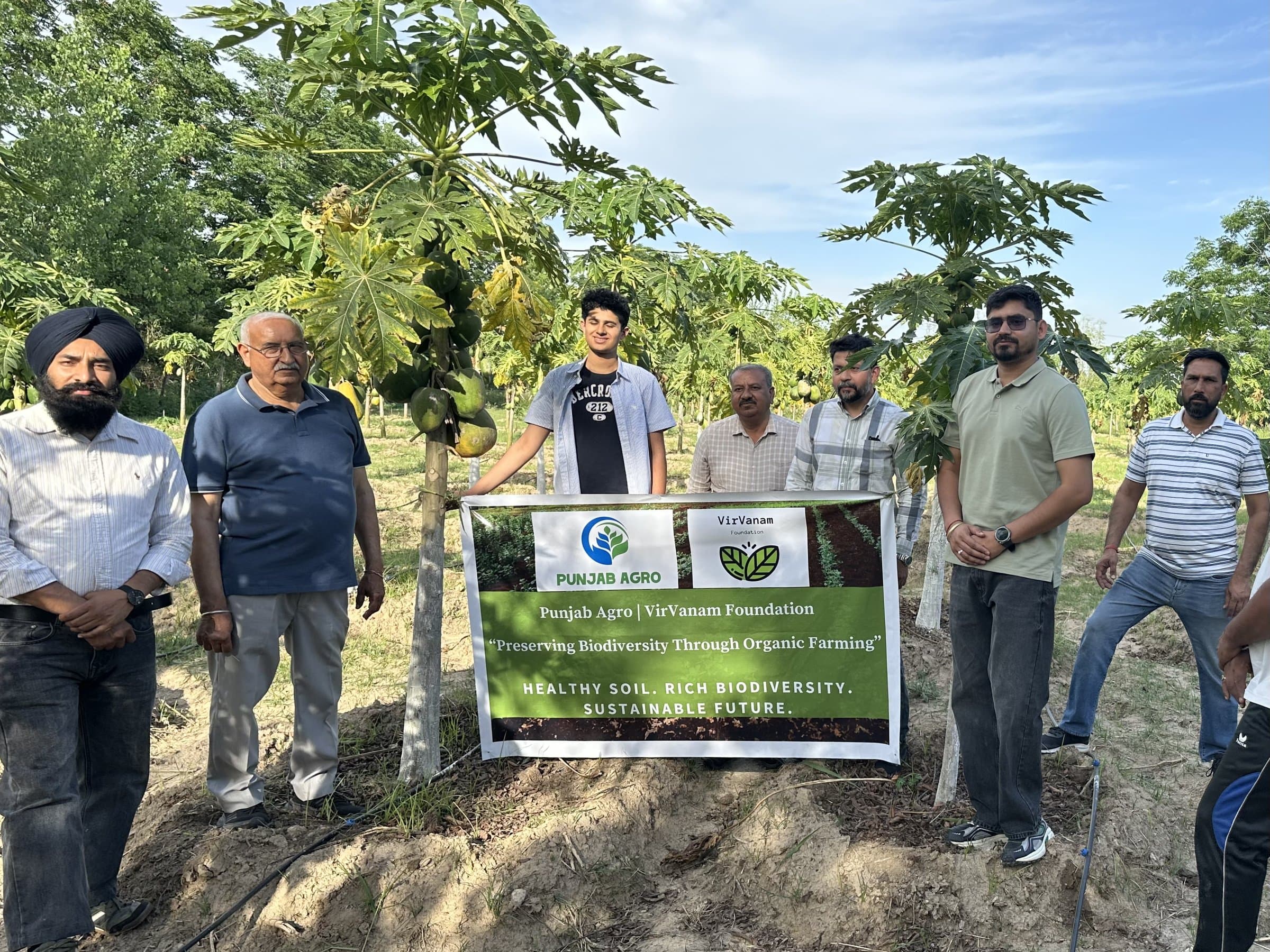 Organic farming and sustainable agriculture